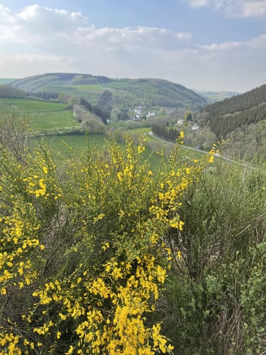 Stoubach Schleife