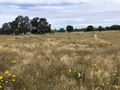 Maidu Regional Park Field Map