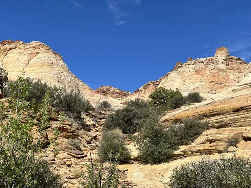 Capitol Reef National Park: Chimney Rock Canyon to Pleasant Creek