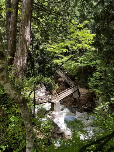Best river trails in Nakatsugawa Shi | AllTrails