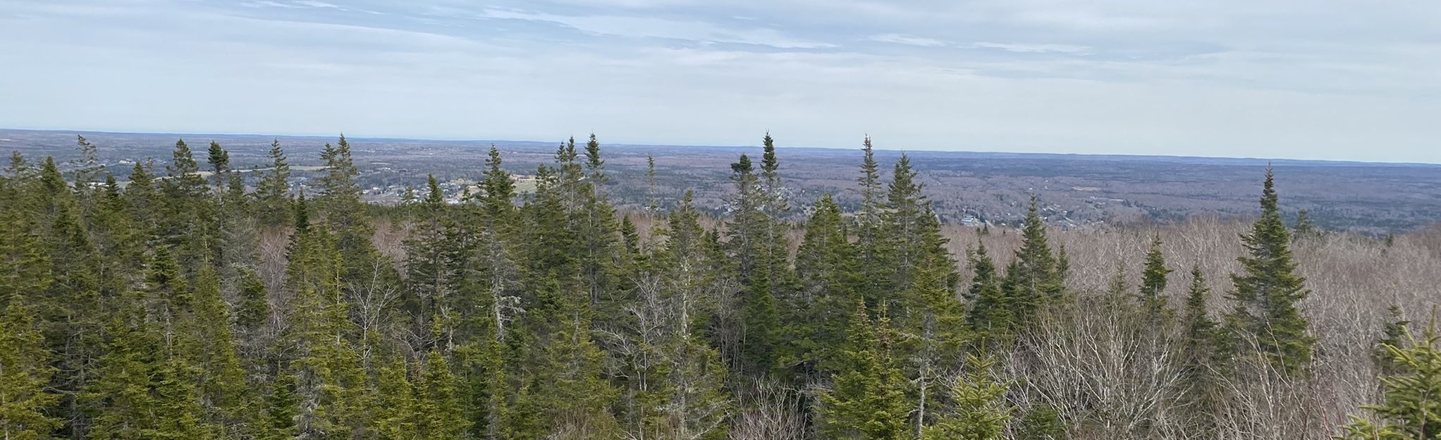 Coxheath Hills Wilderness Trail: 87 foto's - Nova Scotia, Canada ...