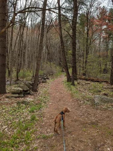 Best Hikes and Trails in Bumblebee Park | AllTrails