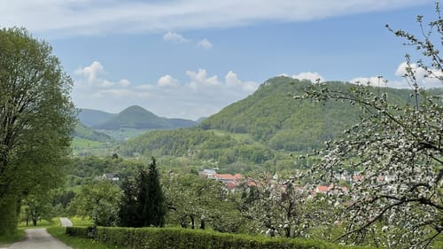 Wald- und Wasserweg