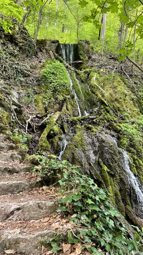Wald- und Wasserweg