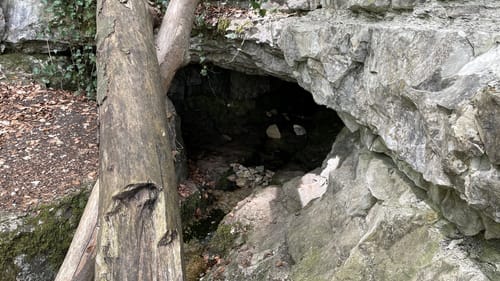 Wald- und Wasserweg