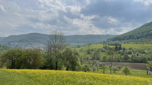 Wald- und Wasserweg