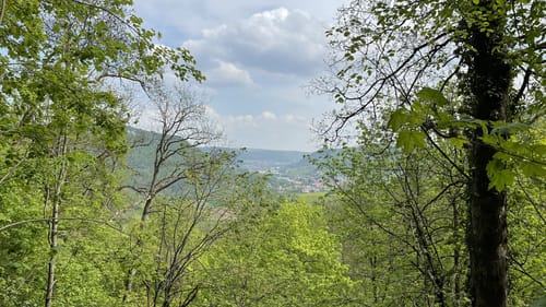 Wald- und Wasserweg