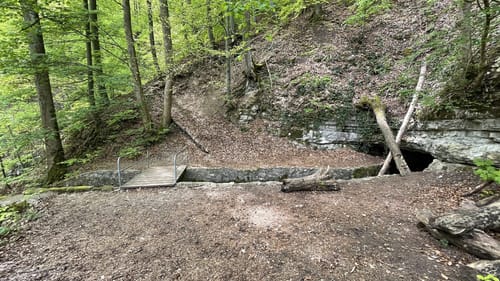Wald- und Wasserweg