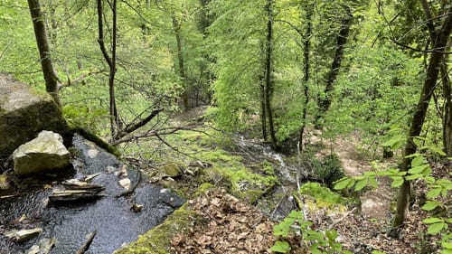Wald- und Wasserweg