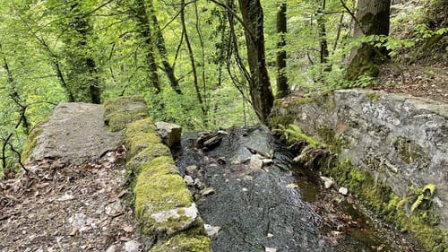 Wald- und Wasserweg