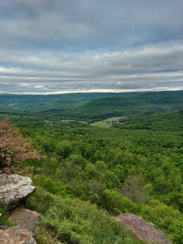 Best Hikes and Trails in Harrison | AllTrails