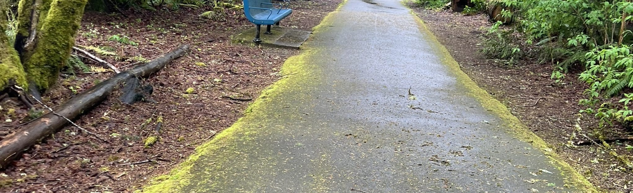 Wonderwood Park Walk 99 Reviews, Map Washington AllTrails