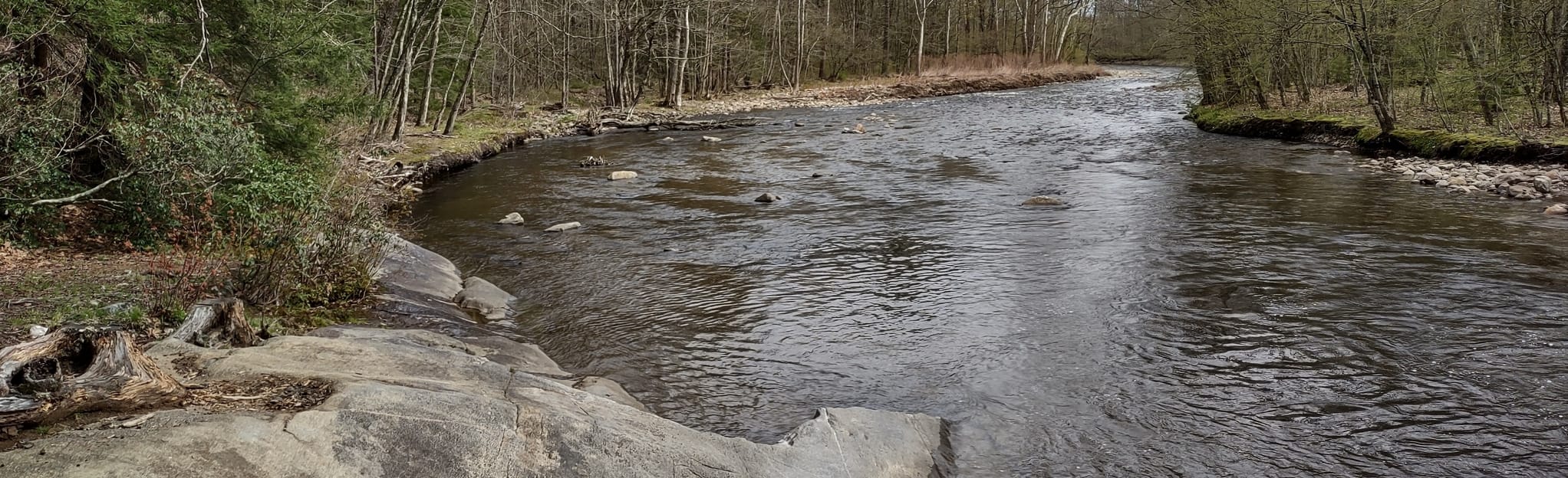 AllTrails Ashuelot River Gilsum to Surry Mountain Lake 2 Reviews