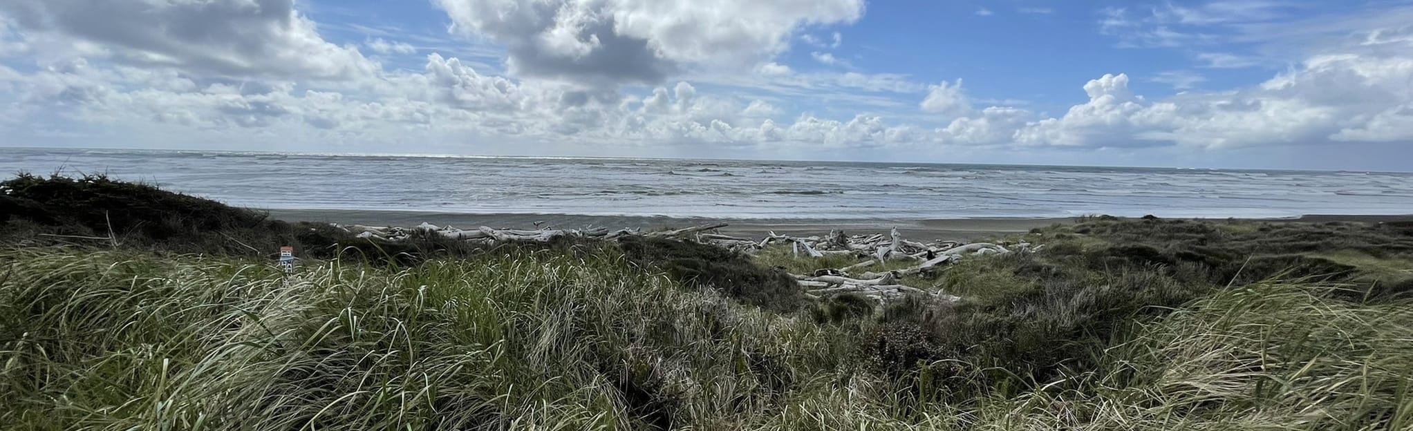 Westport Lighthouse Trail 180 foto Washington AllTrails