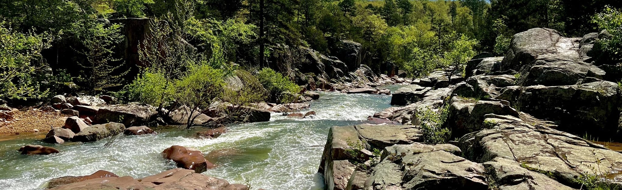 Castor River Cedar Glade Trail Missouri AllTrails