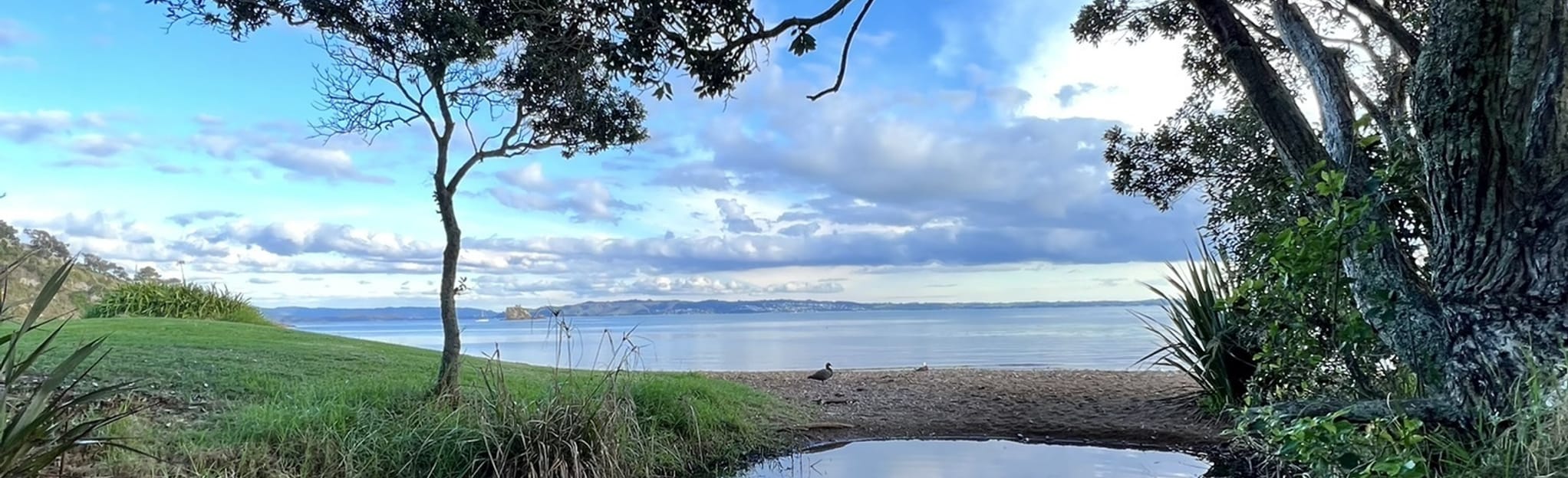Rocky Bay Beachfront Path, Auckland, New Zealand Map, Guide AllTrails