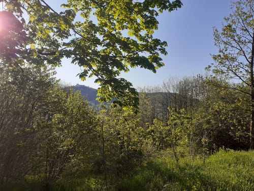 Rund um den Kornberg