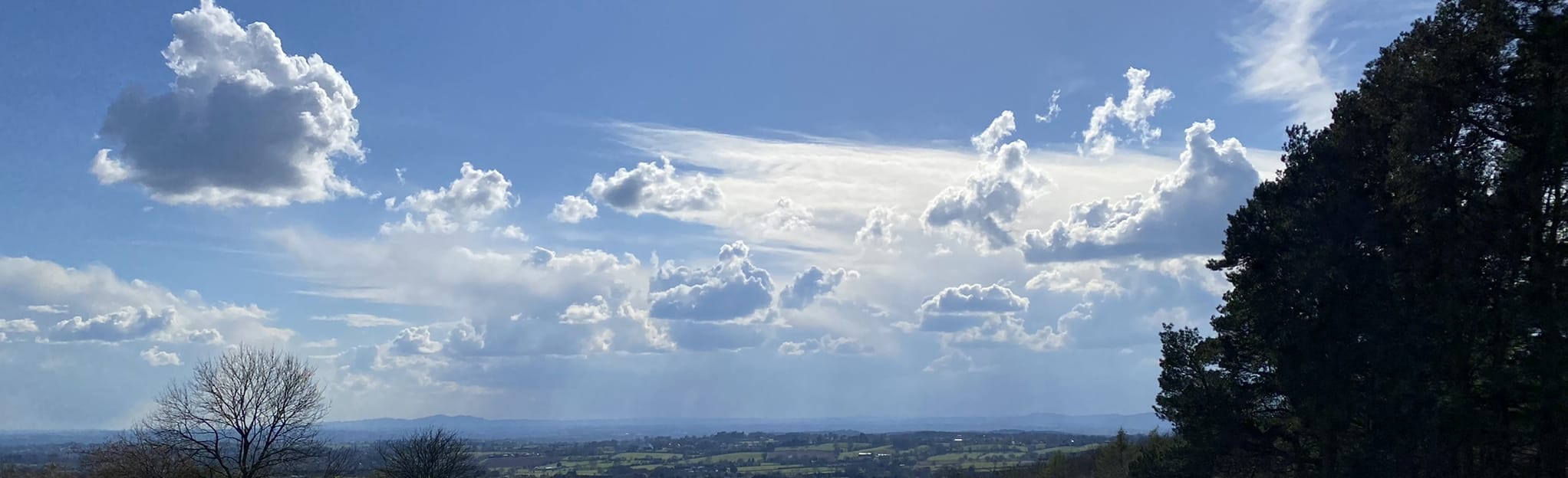 Waseley Hills Rabbit Trail - West Midlands, England | AllTrails