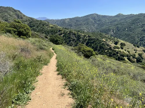 10 Best Hikes and Trails in San - EyJidWNrZXQiOiJhc3NldHMuYWxsdHJhaWxzLmNvbSIsImtleSI6InVwbG9hZHMvcGhvdG8vaW1hZ2UvNDYwMTU1ODgvMDJiZWJkYmYwNGQ1Y2E4MjA5Zjk1ZTIwMGFhYmMzMGUuanBnIiwiZWRpdHMiOnsidG9Gb3JtYXQiOiJ3ZWJwIiwicmVzaXplIjp7IndpZHRoIjo1MDAsImhlaWdodCI6NTAwLCJmaXQiOiJpbnNpZGUifSwicm90YXRlIjpudWxsLCJqcGVnIjp7InRyZWxsaXNRdWFudGlzYXRpb24iOnRydWUsIm92ZXJzaG9vdERlcmluZ2luZyI6dHJ1ZSwib3B0aW1pc2VTY2FucyI6dHJ1ZSwicXVhbnRpc2F0aW9uVGFibGUiOjN9fX0=