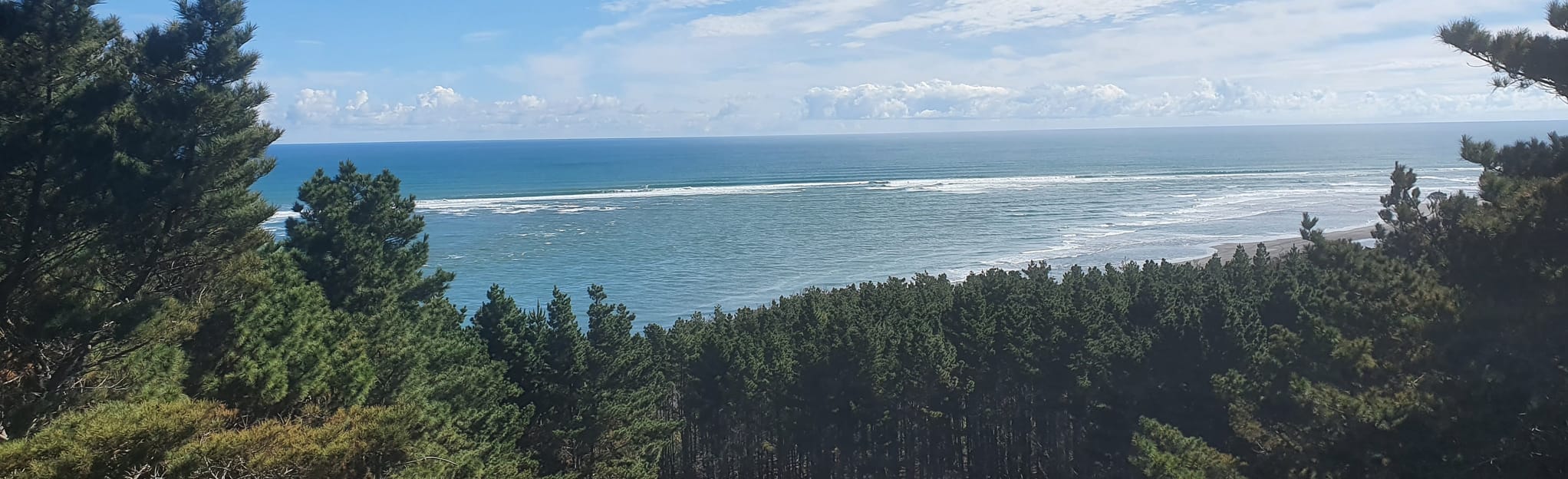 Waiuku Forest Beach Walk, Auckland, New Zealand 54 Reviews, Map