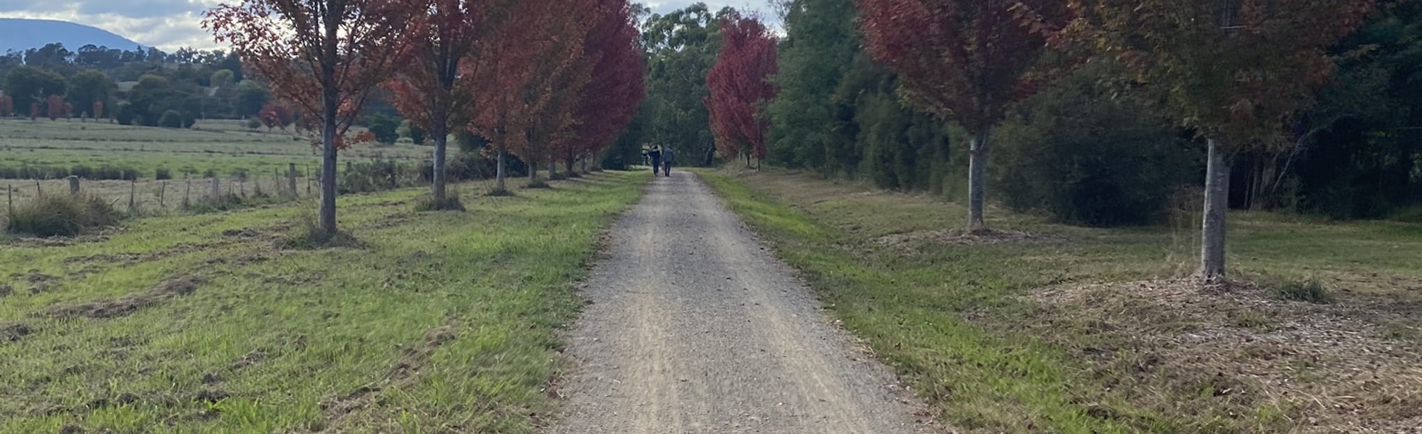 Warburton Rail Trail Woori Yallock to Launching Place Map, Guide Victoria, Australia
