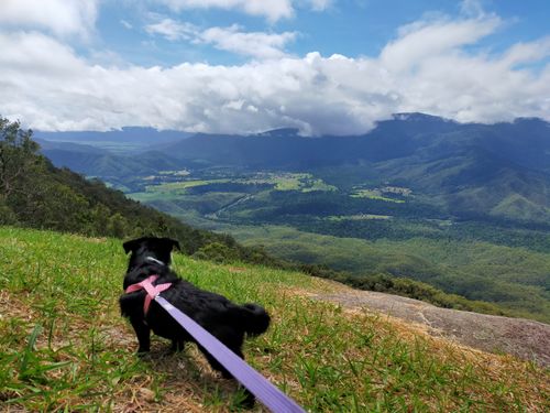 Best Hikes and Trails in Little Mulgrave National Park | AllTrails