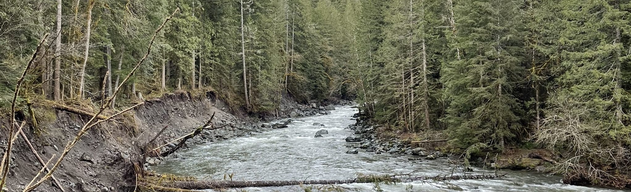 Horseshoe Bend Trail 620 Fotos Washington AllTrails