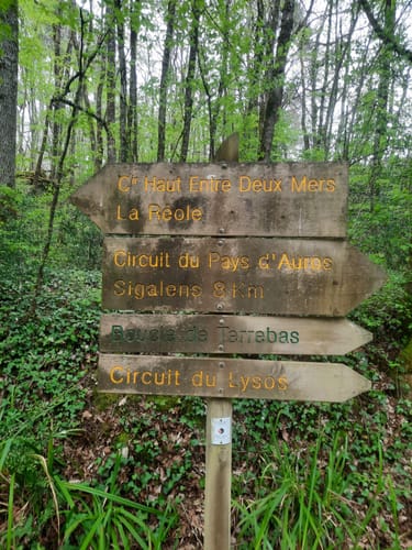 2023 Best Bike Touring Trails in Aillas AllTrails