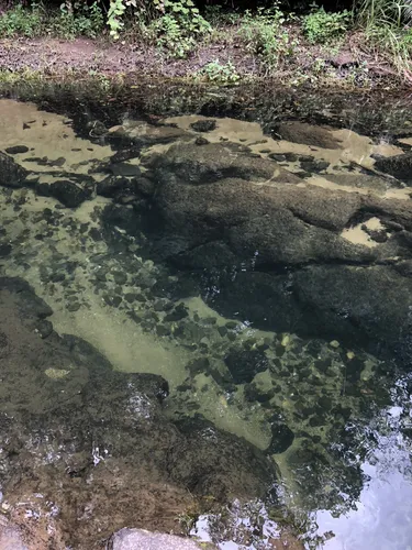 Nationaal Park Japoon de beste routes om te wandelen AllTrails