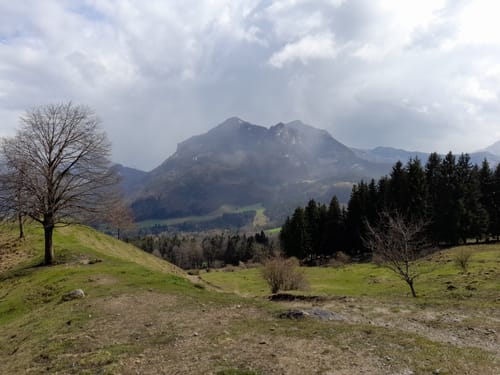 Breitenberghütte ab Lechen