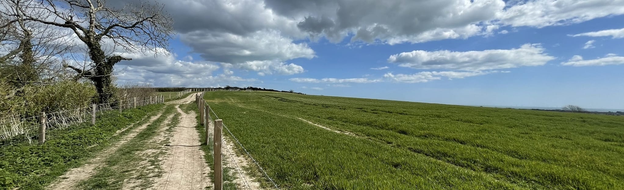 Angmering to Highdown Gardens 87 Photos Sussex de l'Ouest