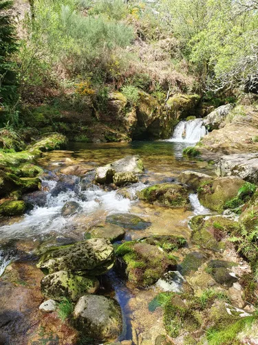 10 Best Bird Watching Trails in Peneda-Gerês National Park | AllTrails