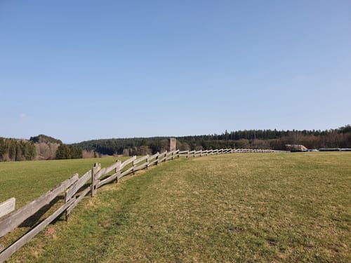 Von Tennenbronn zur Ruine Waldau
