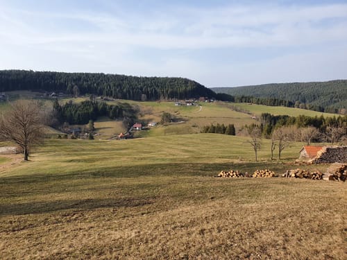 Von Tennenbronn zur Ruine Waldau