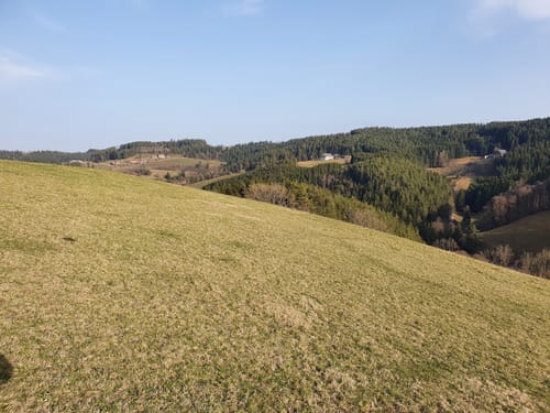 Von Tennenbronn zur Ruine Waldau