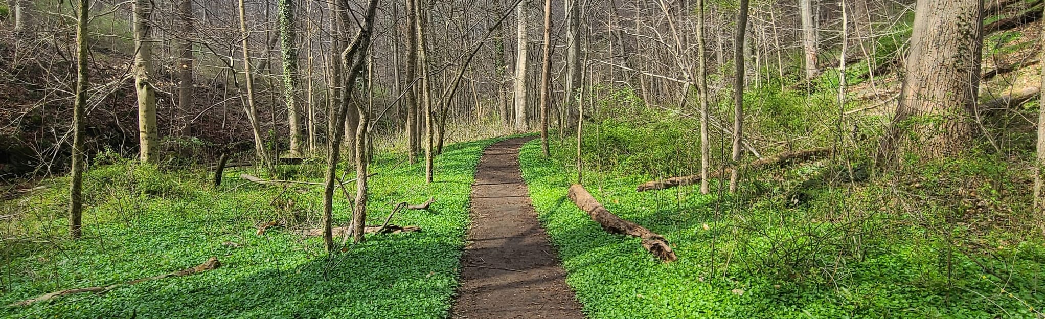 Soapstone Trail to Santee Branch and Grist Mill Loop 1.665 foto's
