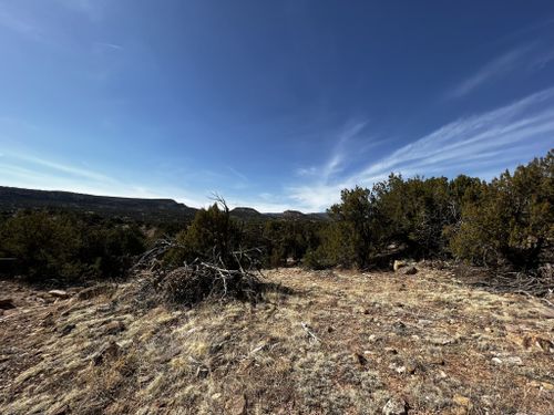 2023 Best 10 Trails and Hikes in Canon City | AllTrails