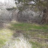 Scorton Creek Marsh Trail, Massachusetts - 53 Reviews, Map | AllTrails