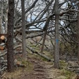 Scorton Creek Marsh Trail, Massachusetts - 53 Reviews, Map | AllTrails
