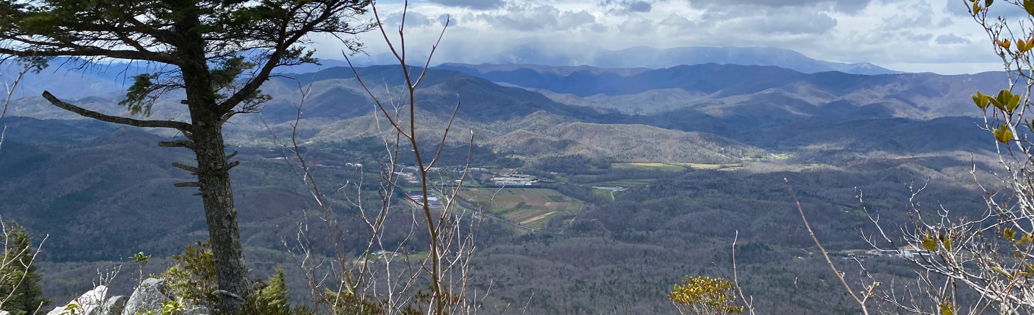 Bald Mountain, Bald Knob and Dobson Knob via MST 22 Reviews, Map