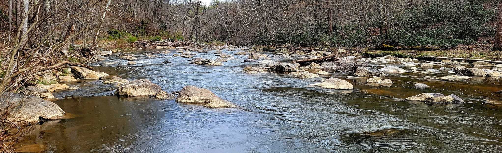 Old Carriage Road, Ridge, and Difficult Run Trail 424 Reviews, Map