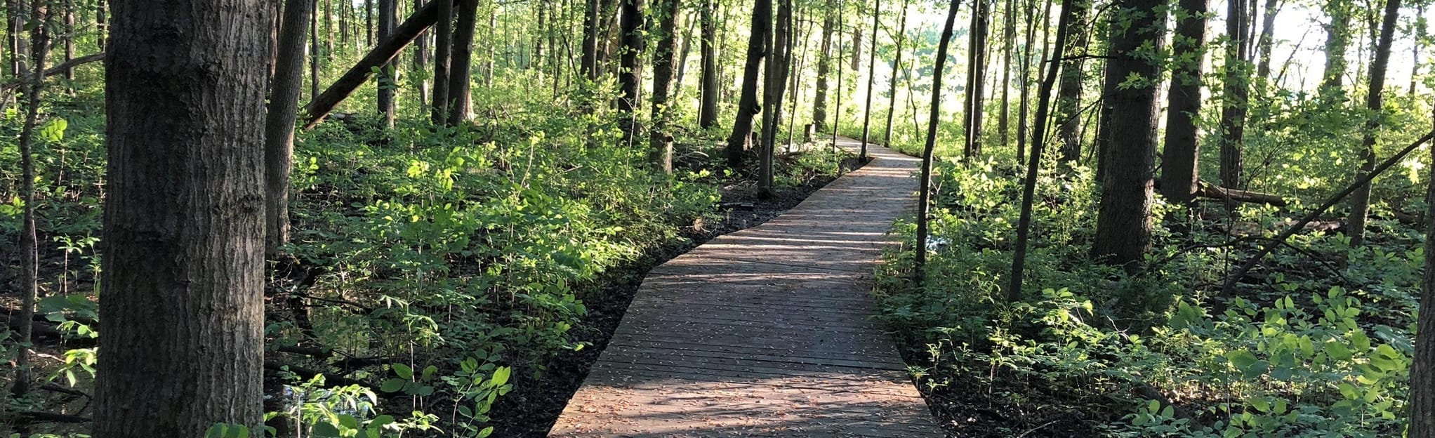 Bradner Preserve Loop Map, Guide Ohio AllTrails