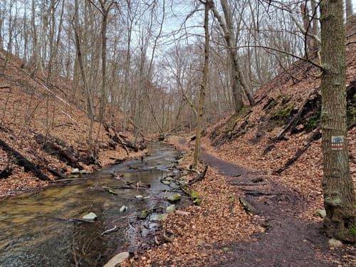Vier Seen im Biesenthaler Becken