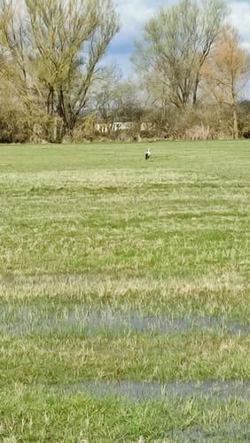Rund um die Alte Schwalm