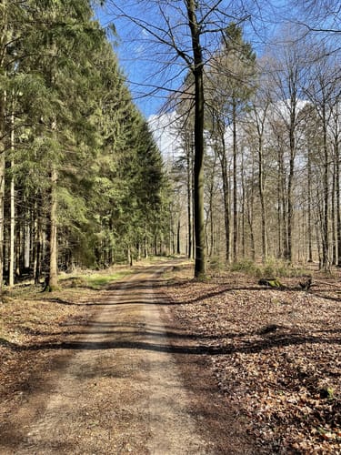 Pastor Bode Weg (Fernwanderweg)