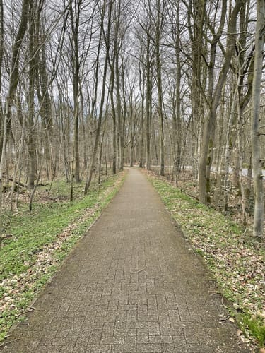 Altenholz