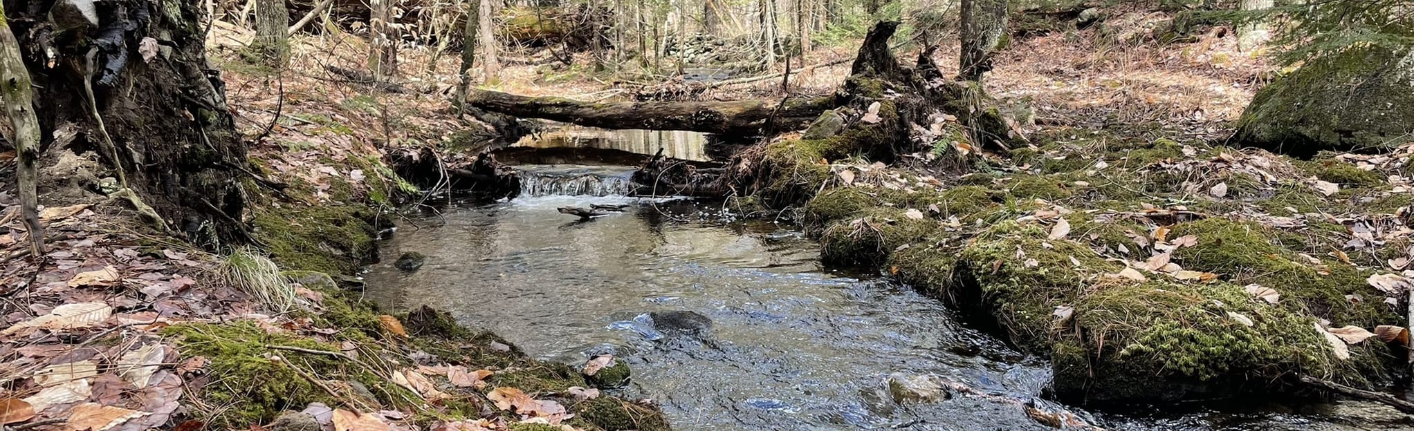 Randall Orchards Trail Maine AllTrails