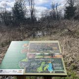 Princess Ledges Loop Trail, Ohio - 360 Reviews, Map | AllTrails