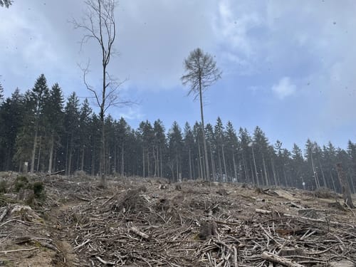 Altkönig ab Schwalbach am Taunus