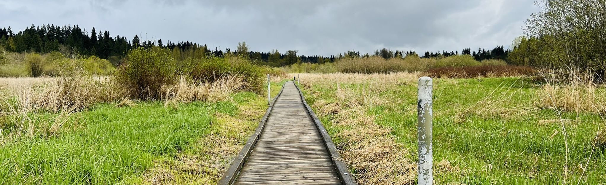 North Creek Trail, Washington 468 Reviews, Map AllTrails